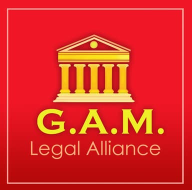 Law firm partner